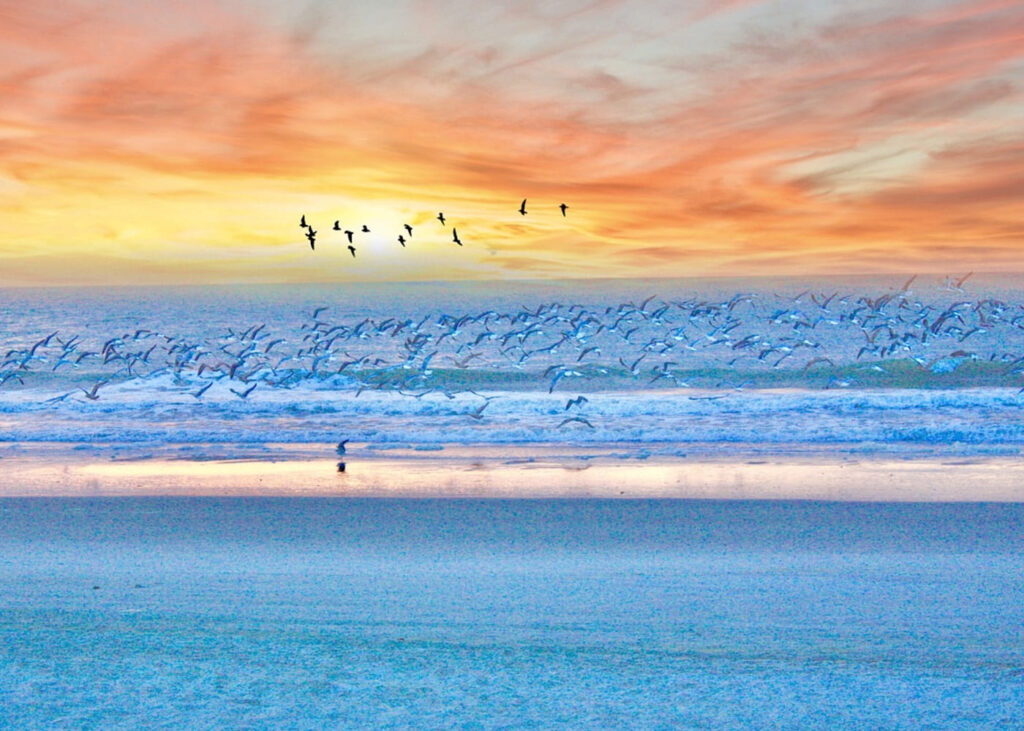 beach