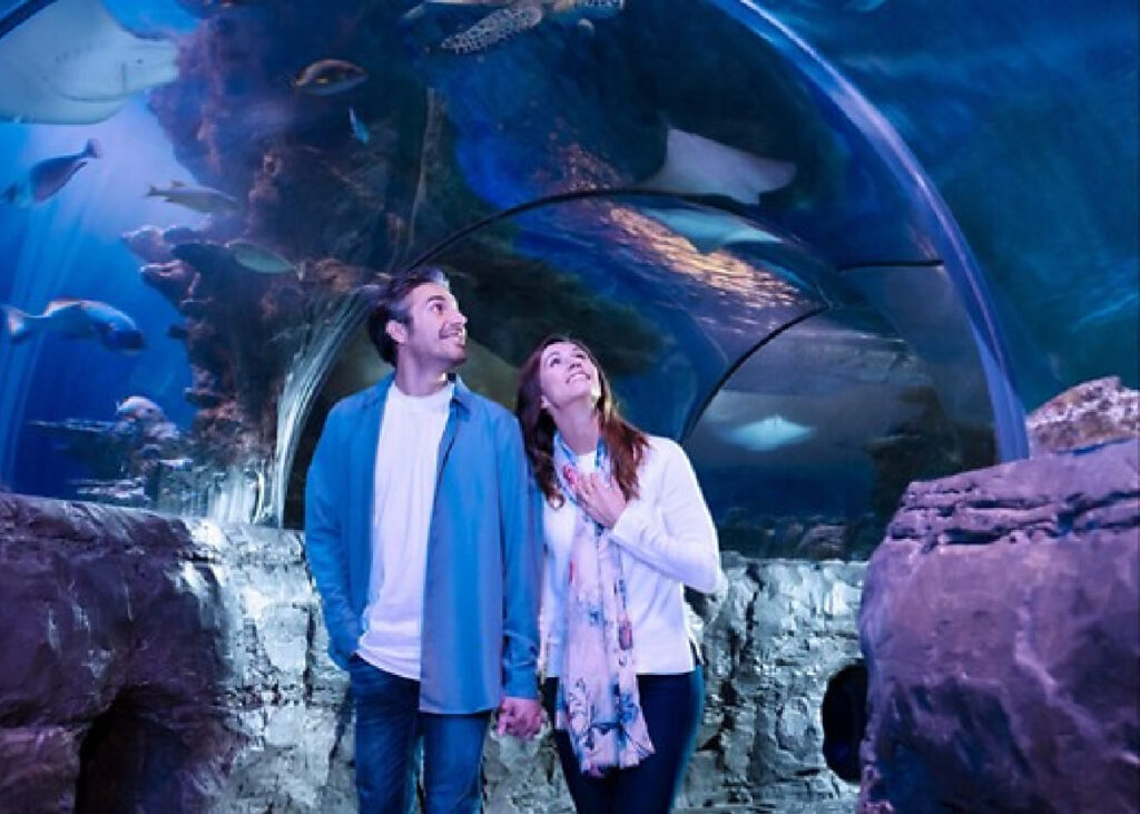 sea life