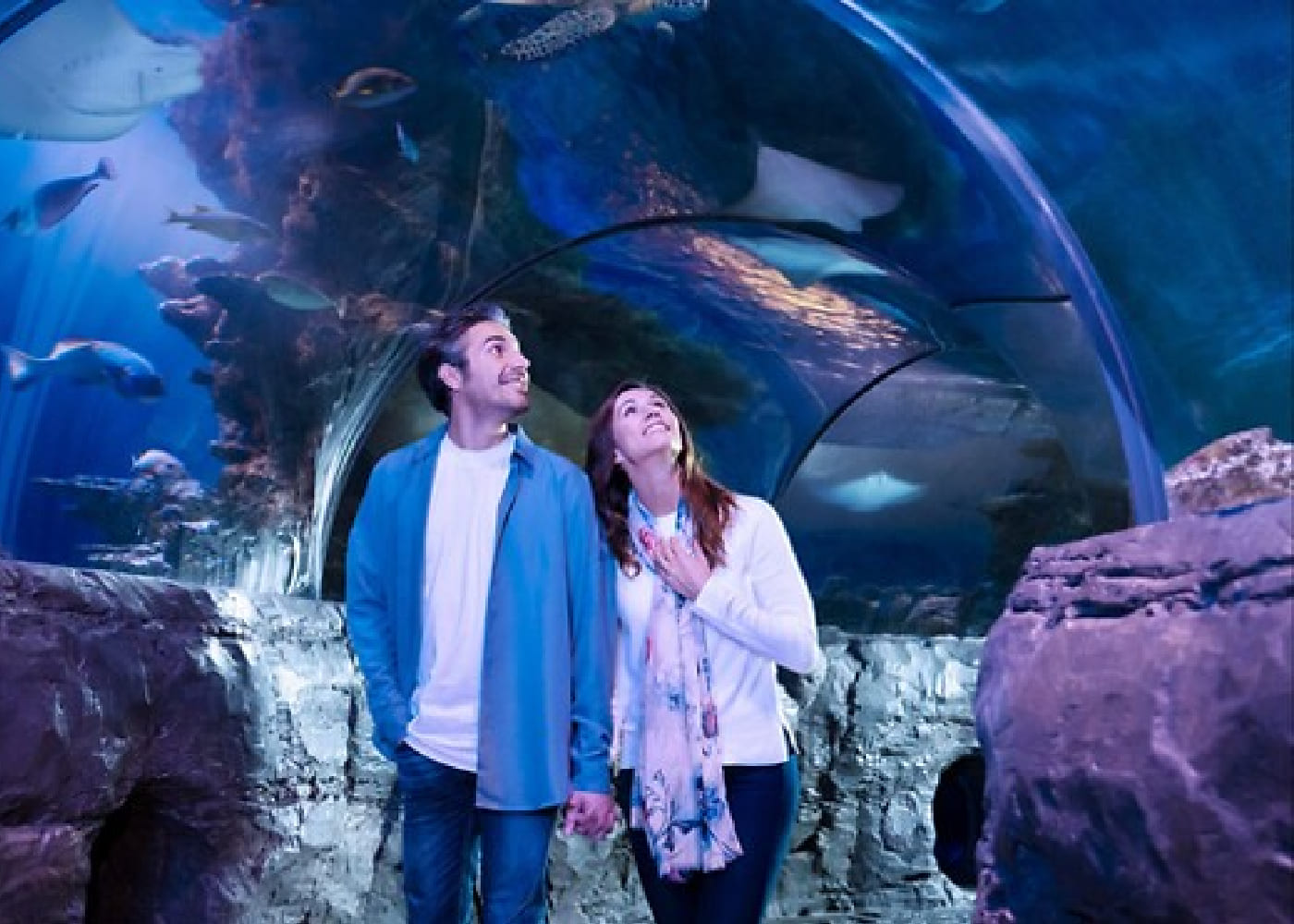 sea life
