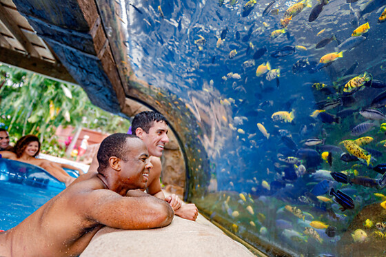 SEA LIFE Admission in Orlando, FL