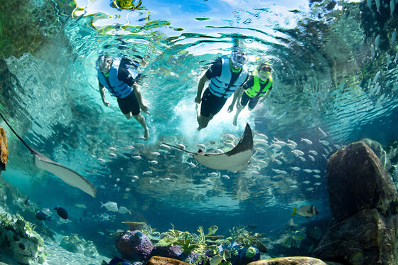 SEA LIFE Admission in Orlando, FL