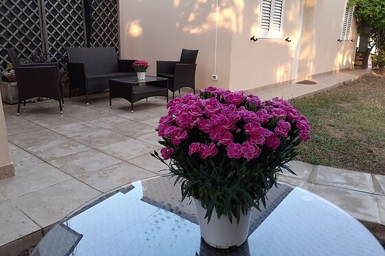 Online Booking EPS - photo 0