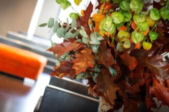 Online Booking EPS - photo 9