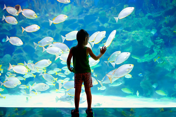 Zoos & Aquariums  
