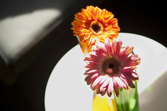 Online Booking EPS - photo 5