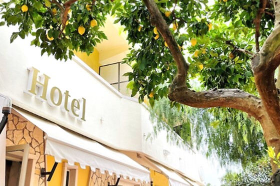 Online Booking EPS - photo 0