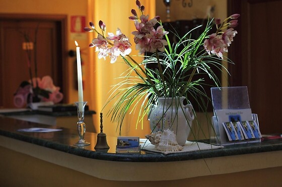 Online Booking EPS - photo 4