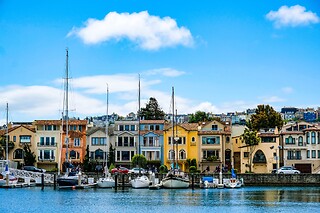 Muir Woods and Sausalito Half-Day Tour