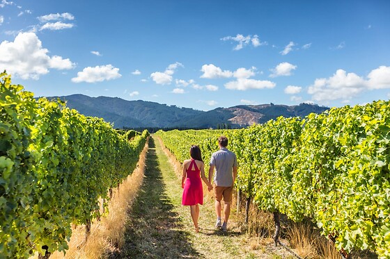 Muir Woods with Napa & Sonoma Wine Country