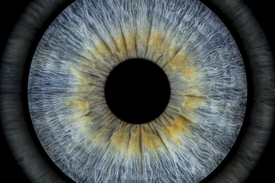 Eye Origin Flatiron