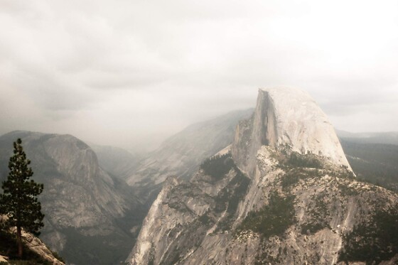 Yosemite and Giant Sequoias Day Tour from San Francisco