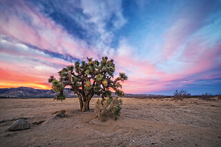 Getaway from L.A. - 2 nights