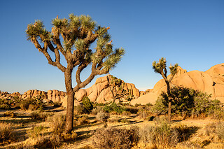 Getaway from L.A. - 1 night