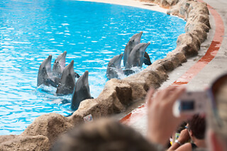 Family stay in Orlando