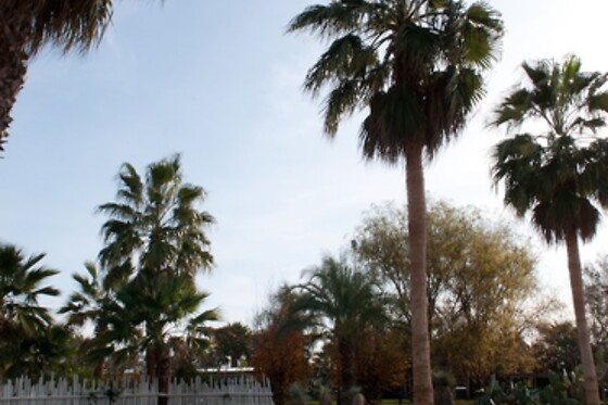 Online Booking EPS - photo 3