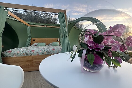 Online Booking EPS - photo 4