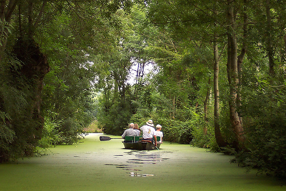 Unlimited Biking - photo 14