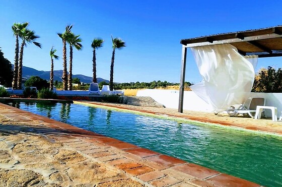 Online Booking EPS - photo 0