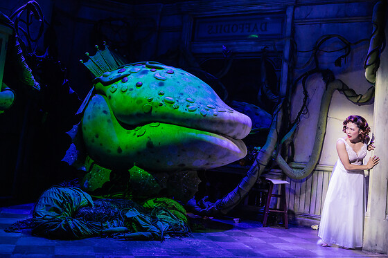 Little Shop Of Horrors The Broadway Show