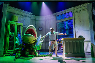 Little Shop Of Horrors The Broadway Show