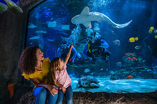 Combo Orlando: SEA LIFE  Aquarium + The Orlando Eye + Madame Tussauds