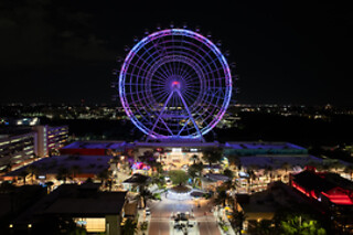 Combo Orlando: SEA LIFE  Aquarium + The Orlando Eye + Madame Tussauds