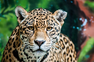 Zoos & Aquariums  
