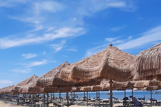 Online Booking EPS - photo 0