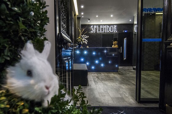 Online Booking EPS - photo 4