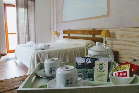 Online Booking EPS - photo 1