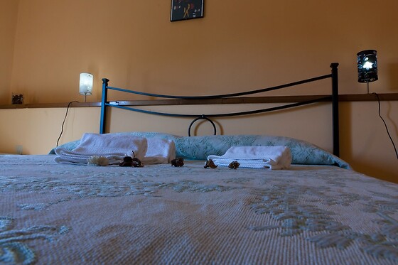 Online Booking EPS - photo 1