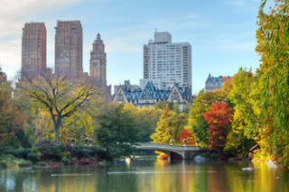 Alice in Wonderland at "Your New York Story"