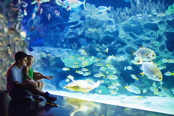 Zoos & Aquariums  
