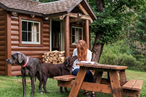 Online Booking EPS - photo 4