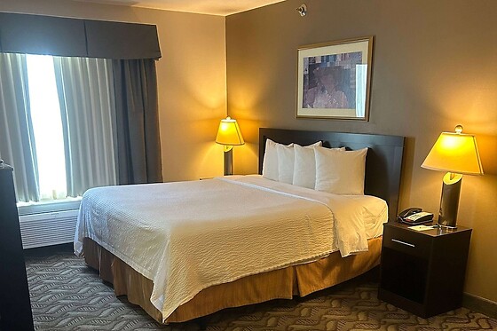Online Booking EPS - photo 2