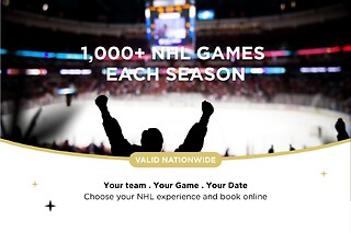 Hockey - Live NHL Game