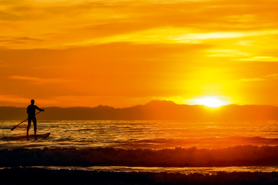 1-hour paddleboard lesson at Surfs Up NY