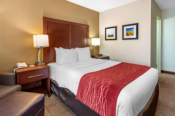 Online Booking EPS - photo 1