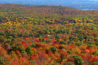 Wings Air Helicopters