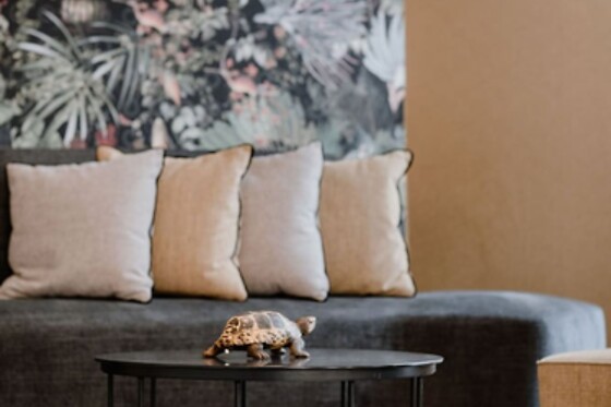 Online Booking EPS - photo 4