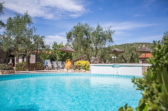 Online Booking EPS - photo 3