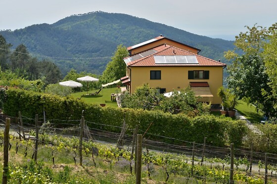 Online Booking EPS - photo 0