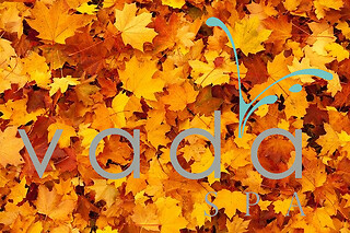 Hydrating Spa Facial and Massage at Vada Spa