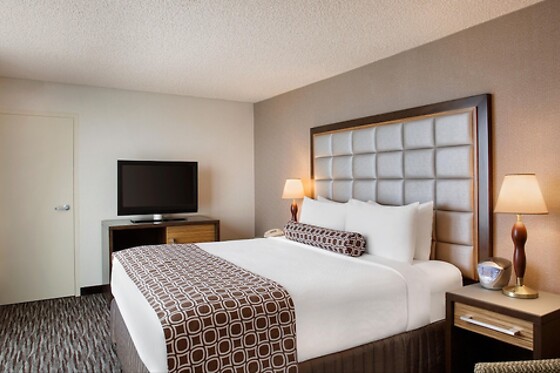 Online Booking EPS - photo 1