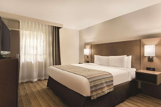 Online Booking EPS - photo 5