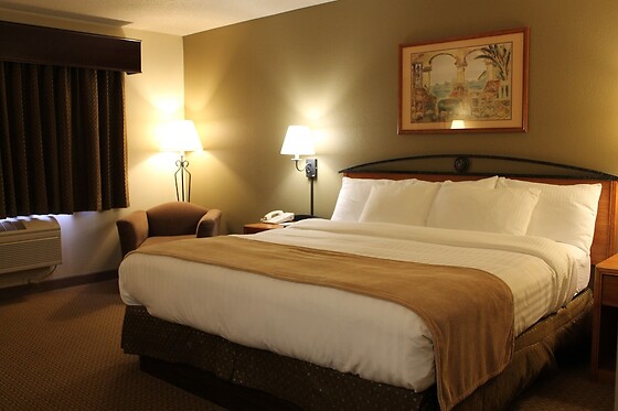 Online Booking EPS - photo 1