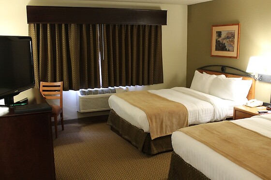 Online Booking EPS - photo 8