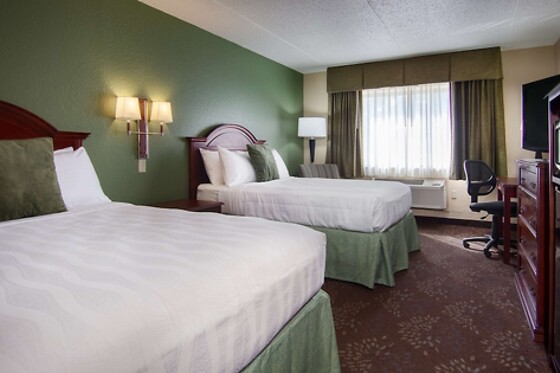 Online Booking EPS - photo 2