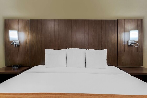 Online Booking EPS - photo 8