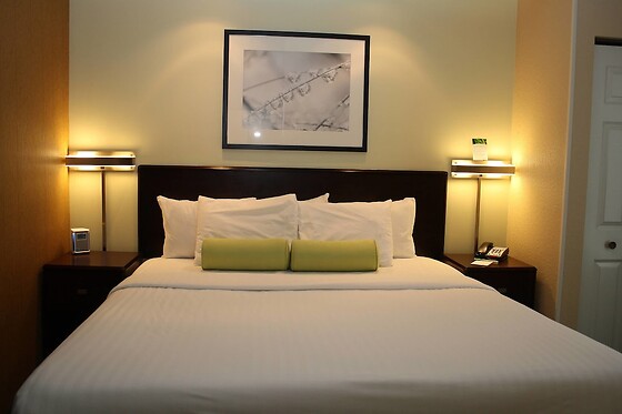 Online Booking EPS - photo 6